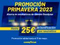 Promoción Primavera 2023 en neumáticos de camión Goodyear