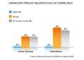 Variación precio de los neumáticos